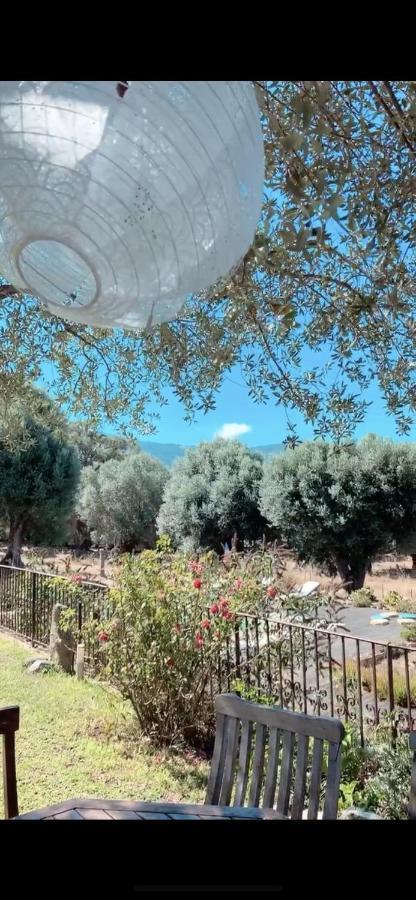 Domaine De Tappa - Casa Filicina Villa Sollacaro Ngoại thất bức ảnh