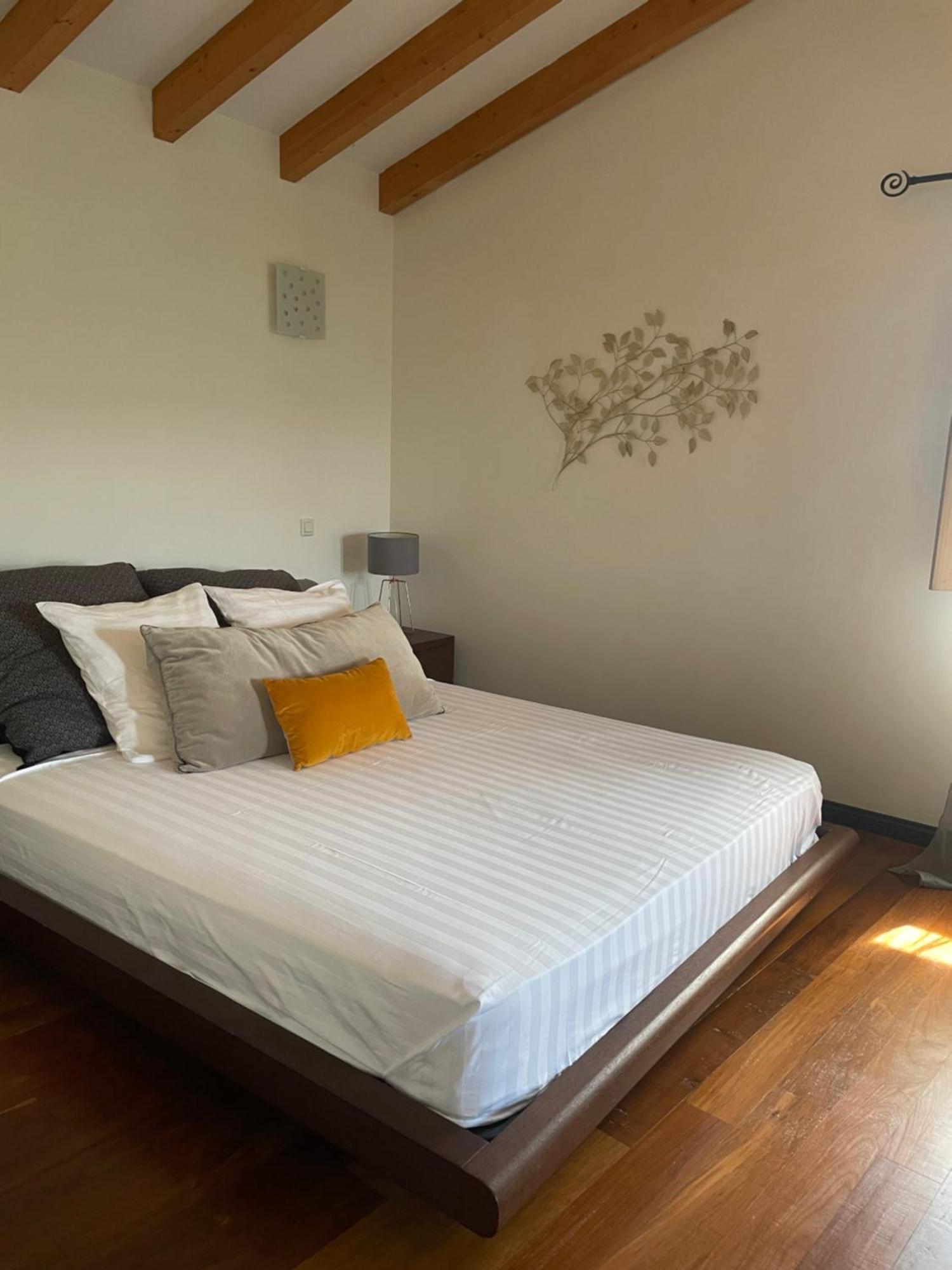 Domaine De Tappa - Casa Filicina Villa Sollacaro Ngoại thất bức ảnh